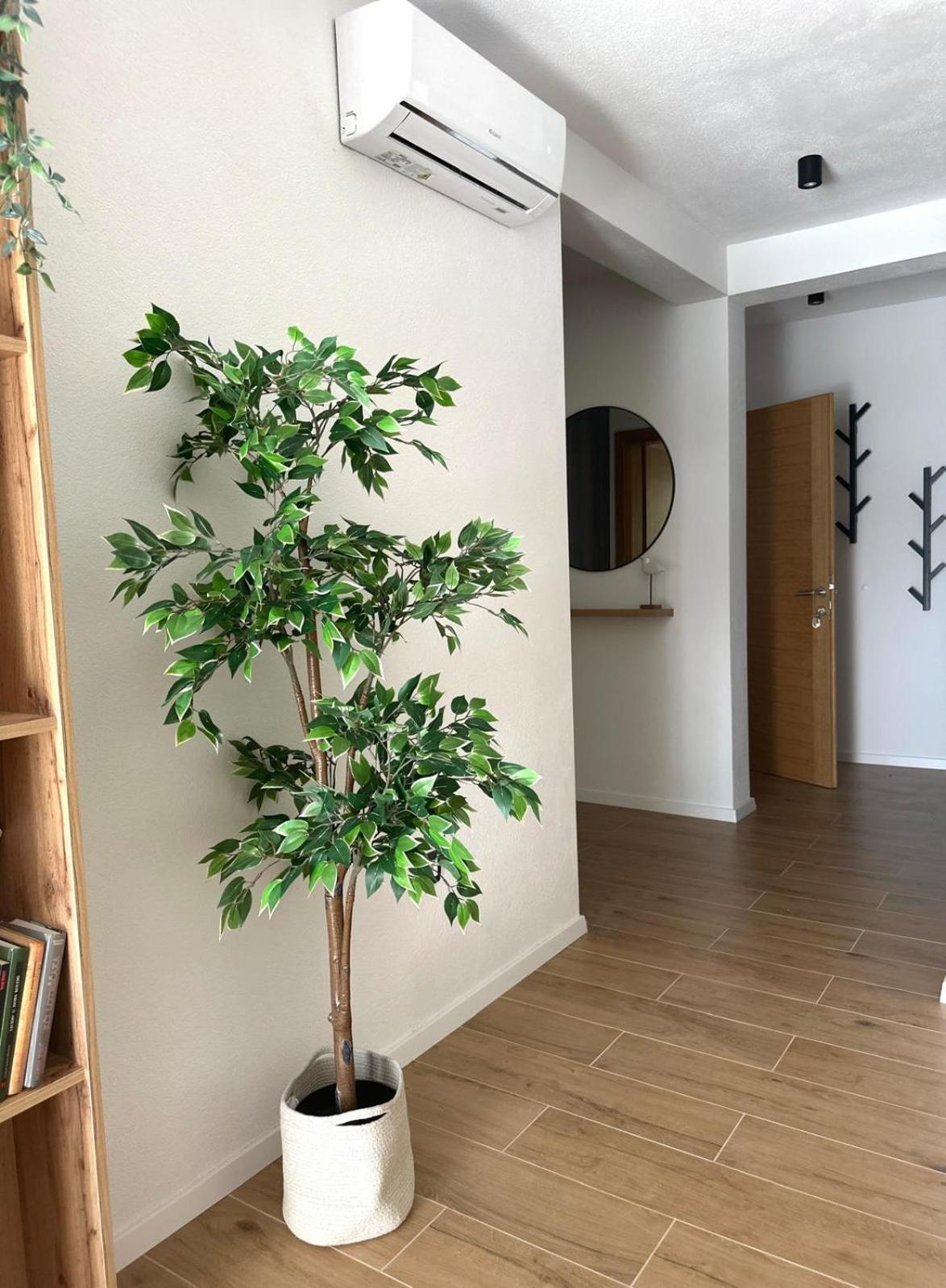 Poljica  Apartmani Palada מראה חיצוני תמונה
